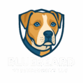 BlueBeard CyberSecurity