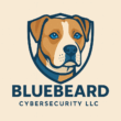 BlueBeard CyberSecurity